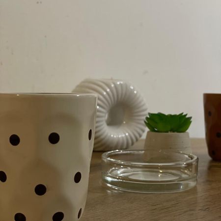 Fenix Apartman II Zaječar Dış mekan fotoğraf
