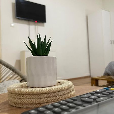 Fenix Apartman II Zaječar Dış mekan fotoğraf