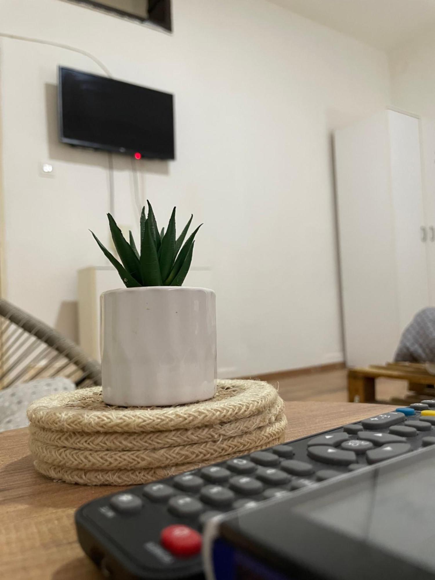 Fenix Apartman II Zaječar Dış mekan fotoğraf