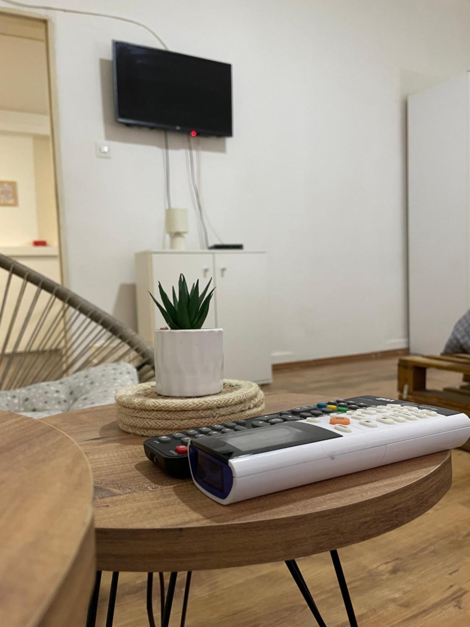 Fenix Apartman II Zaječar Dış mekan fotoğraf