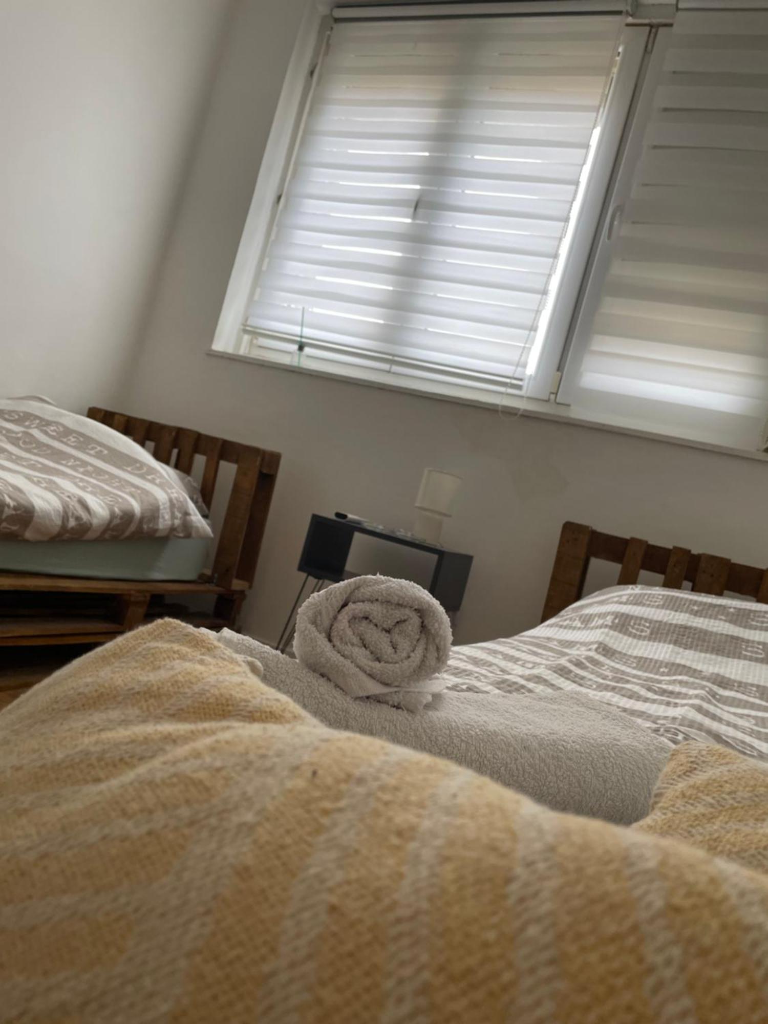Fenix Apartman II Zaječar Dış mekan fotoğraf